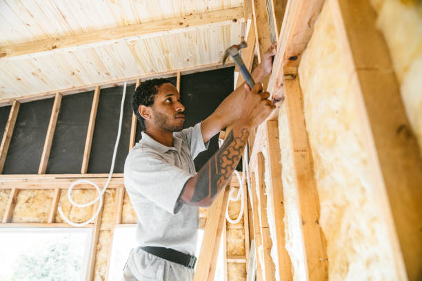 Best Insulation Removal  in Kenmar, PA